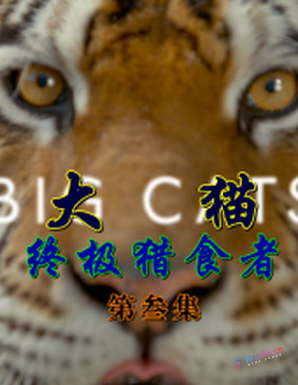 BBC：[大猫：终极猎食者][第壹季/全叁集]【DTS刘琮国语】[简繁双语特效]Big.Cats.S01EP03.2018.1080p.AMZN.WEB.H264.dts-5.1-DVB@szsddqwx 16.48GB